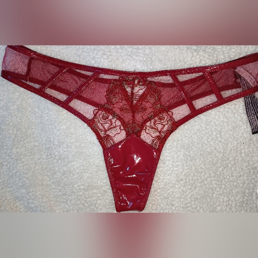Victoria's Secret Red Lace and Mesh Panty